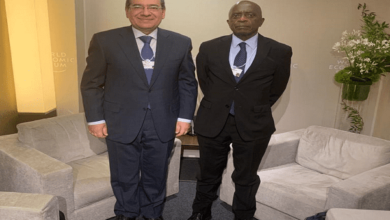 وزير البترول يستقبل وزير الطاقة الموزمبيقى فى دافوس