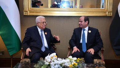 الرئيس السيسي يستعرض جهود مصر لحشد موقف دولي إزاء الإجراءات الإسرائيلية