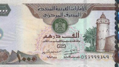 سعر الدرهم الإماراتي مقابل الجنيه اليوم الخميس 9 مايو 2024