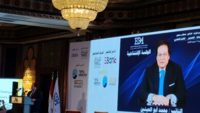 محمد أبو العينين يطالب بإعداد قانون جديد للاستثمار وخريطة واضحة للصناعات المستهدفة