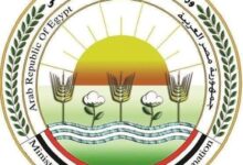 وزارة الزراعة: إضافة أكثر من 350 ألف فدان للأراضي المستصلحة زراعيا