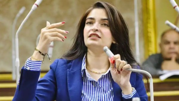 100 مليون صحة أنجح المبادرات ونطالب بتوفير العلاج لضمان تكامل الخدمة