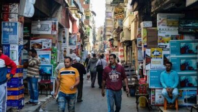 20 مليار جنيه حجم الشراكة بين القطاعين العام والخاص في مصر