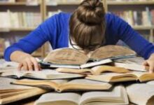 4 مسارات بتخصصات مختلفة.. برلمانية تكشف مستقبل خريجي البكالوريا