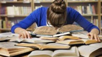 4 مسارات بتخصصات مختلفة.. برلمانية تكشف مستقبل خريجي البكالوريا