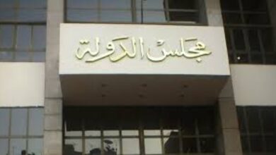 40 طعنا.. القضاء الإداري يفصل في المتقدمين للترشح بانتخابات مجلس الشيوخ