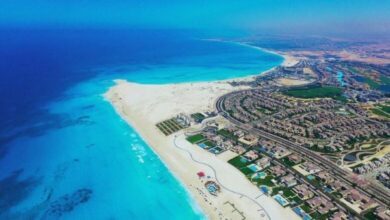 80 مليار جنيه استثمارات إماراتية جديدة في رأس الحكمة.. ونواب: هذه المشروعات تساهم في زيادة مصادر العملة الأجنبية.. ويؤكدون: توفر الإنتاج والعمالة