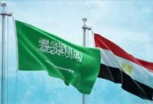 أستاذ علاقات دولية: تكامل مصري سعودي للحفاظ على أمن واستقرار المنطقة