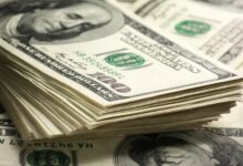 سعر الدولار مقابل الجنيه المصري في البنك المركزي اليوم