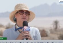 أشجار المانجروف نظام طبيعي يقوم بتنقية المياه المالحة