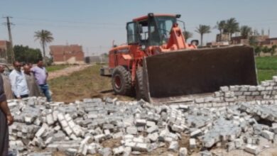 إزالة تعديات على مساحة 15 فدانا.. ودورات تدريبية عن تحديثات كارت الفلاح