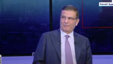 ارتفاع إنتاجية البطاطس والطماطم بنسبة 15% هذا العام