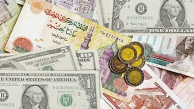 ارتفاع طفيف في سعر الدولار مقابل الجنيه.. واستقرار العملات العربية|فيديو