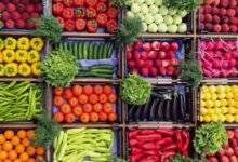 استقرار أسعار الخضراوات بأسواق الوادي الجديد اليوم الثلاثاء