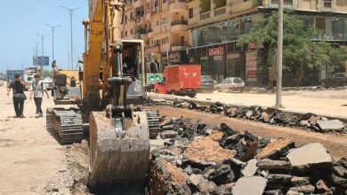 استكمال أعمال الرصف بامتداد شارع المصنع بكفر الشيخ.. صور