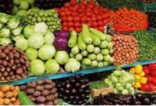استمرار حملات التموين على الأسواق.. استقرار أسعار الخضر والفاكهة والدواجن والبيض
