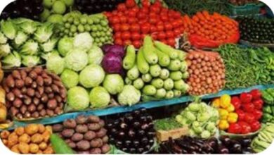 استمرار حملات التموين على الأسواق.. استقرار أسعار الخضر والفاكهة والدواجن والبيض