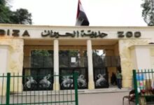 الاستعانة بكبرى الشركات العالمية لتقديم الدعم الفني وتدريب العاملين بحديقة الحيوان