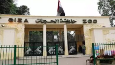 الاستعانة بكبرى الشركات العالمية لتقديم الدعم الفني وتدريب العاملين بحديقة الحيوان
