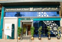 البنك الزراعي المصري يمول إنتاج المحاصيل المتنوعة.. تعرف على المستندات المطلوبة
