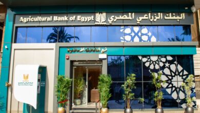 البنك الزراعي المصري يمول إنتاج المحاصيل المتنوعة.. تعرف على المستندات المطلوبة