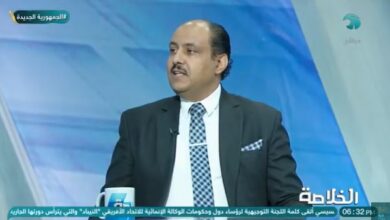 الحضور والأهداف المصرية واضحة ومؤثرة في العلاقات الأفريقية