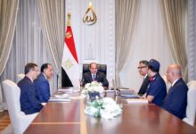 الرئيس السيسي يؤكد أهمية التنسيق الكامل بين أجهزة الدولة المعنية بالأمن الغذائي 
