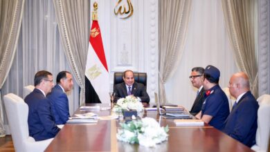 الرئيس السيسي يؤكد أهمية التنسيق الكامل بين أجهزة الدولة المعنية بالأمن الغذائي 