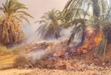 السيطرة على حريق بمزرعة دواجن في الشرقية
