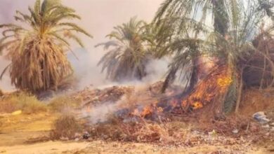 السيطرة على حريق بمزرعة دواجن في الشرقية