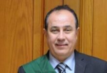الشهود يؤجلون محاكمة 46 متهما بقضية خلية العجوزة الثانية لـ 10 أغسطس