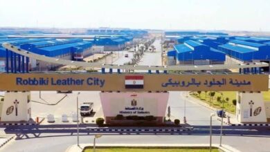 "الصناعة" : 27 يوليو الجاري الموعد الأخير لسحب الكراسات والتقديم في الطرح الثاني بمدينة الجلود بالروبيكي