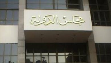 القضاء الإداري ينظر أولى جلسات إقرار المنحة الاستثنائية لأصحاب المعاشات.. بعد قليل
