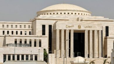 المشاركة في انتخابات الشيوخ واجب وطني وشراكة في بناء مستقبل مصر