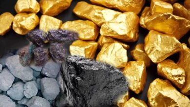 المعادن مقابل الحياة.. أمريكا في عهد ترامب تبتز الدول الفقيرة