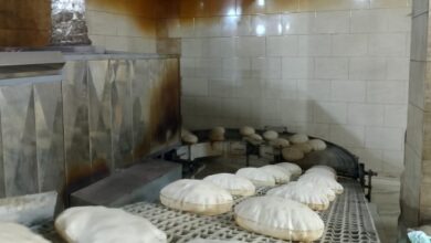 المنوفية.. 207 محاضر مخالفات وضبط 10 طن أعلاف وملح طعام مجهولة المصدر