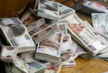 بالإنفوجراف .. ننشر تفاصيل خطة الطروحات الحكومية من أدوات الدين المحلية خلال الربع الأول من 2026/2025