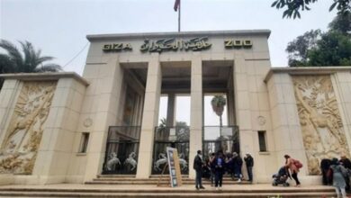 بعد طول انتظار.. وزير الزراعة يكشف الموعد النهائي لافتتاح حديقة الحيوان بالجيزة