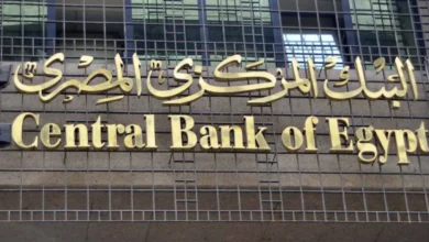 بينها «المركزي المصري»... البنوك المركزية الأفريقية تدرس خيارات السياسة النقدية
