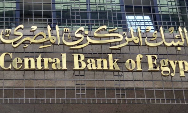 بينها «المركزي المصري»... البنوك المركزية الأفريقية تدرس خيارات السياسة النقدية