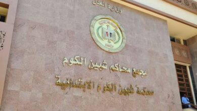 تأجيل محاكمة أم أغرقت ابنها الرضيع في البانيو بالمنوفية