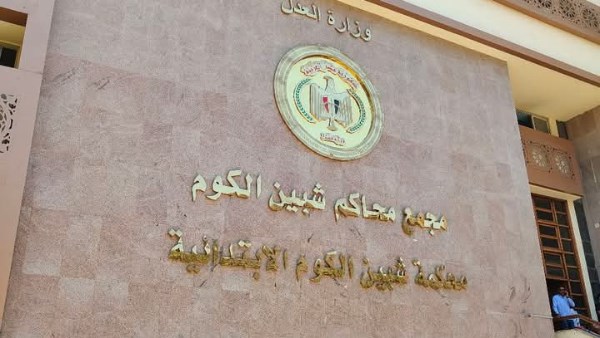 تأجيل محاكمة أم أغرقت ابنها الرضيع في البانيو بالمنوفية