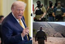 تصنيف موافقة ترامب على أعلى عدد من زلات الهجرة: استطلاع للرأي