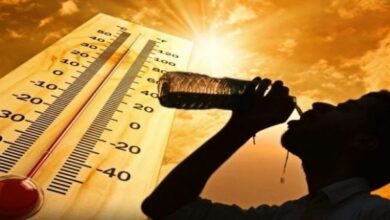 تعرف على حالة الطقس المتوقعة اليوم الأحد على القاهرة والمحافظات