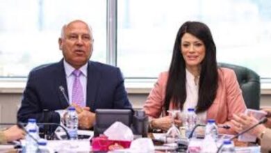 تعزيز "الصناعة الخضراء".. وزيرا الصناعة والتخطيط يبحثان آليات التكيف مع "CBAM" وجذب التمويلات الخضراء