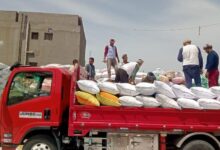 توريد 25 ألف طن من الأقماح المحلية فى محافظة الأقصر