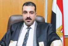 د. علي عبدالحكيم الطحاوي يكتب.. مصر قوة إقليمية صلبة تتبنى سياسة رشيدة