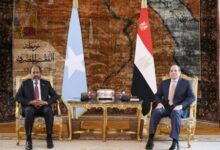 دفعة جديدة للشراكة المصرية الصومالية في الأمن والتنمية.. تفاصيل المحاور الرئيسية للتعاون