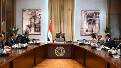 رئيس الوزراء يلتقي المدير الإقليمي لمنظمة الصحة العالمية لإقليم الشرق الأوسط
