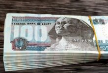 رفع مرتبات الحكومة 200% رسميًا لهؤلاء الموظفين.. هل أنت منهم؟
